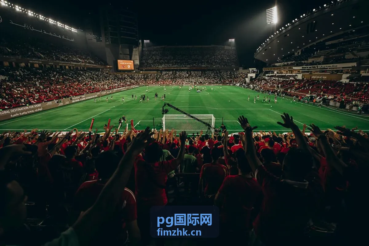 pg国际网海外合规评估方案
