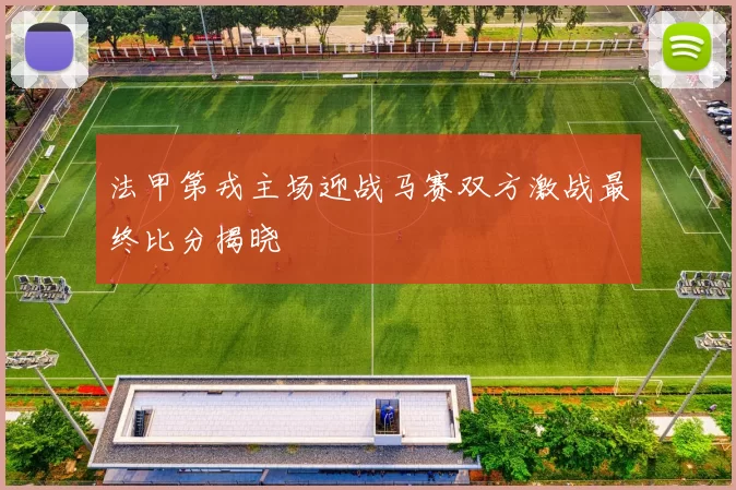 法甲第戎主场迎战马赛双方激战最终比分揭晓