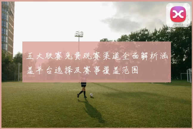 五大联赛免费观赛渠道全面解析涵盖平台选择及赛事覆盖范围